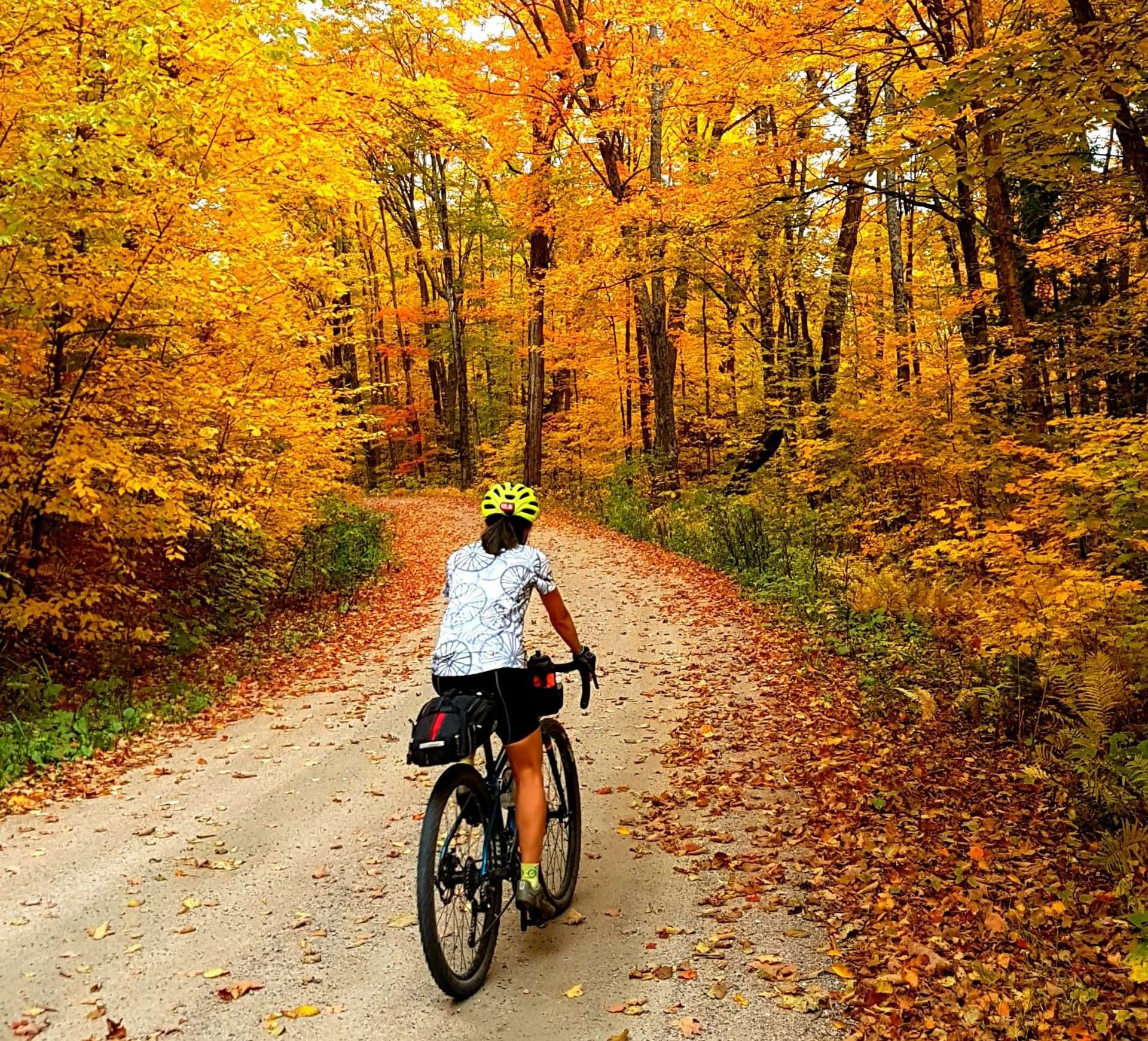 Haliburton-Forest-and-Wildlife-Reserve-photo-by-Thom-Lambert-scaled-e1659023211354